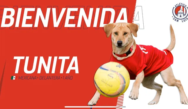 El Atlético de San Luis anunció este lunes el fichaje de 'Tunita' como delantera