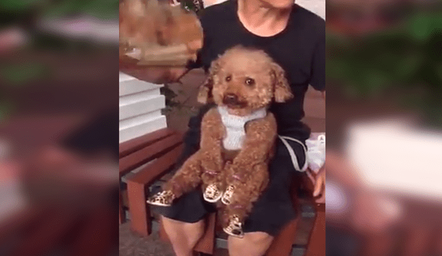 En Facebook, un hombre fue captado por su hija en emotiva escena tras negarse a cuidar a un perro.