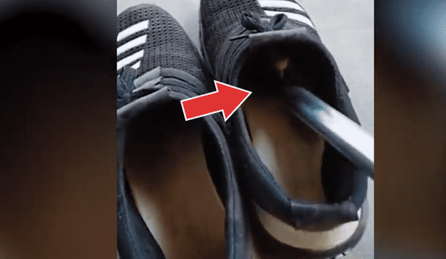 Facebook viral: hombre revisa el interior de su zapato y descubre que habitaba venenosa criatura [VIDEO]