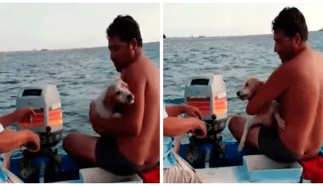 Pescadores logran rescatar a un perro que nadaba y luchaba por su vida en mar abierto [VIDEO]