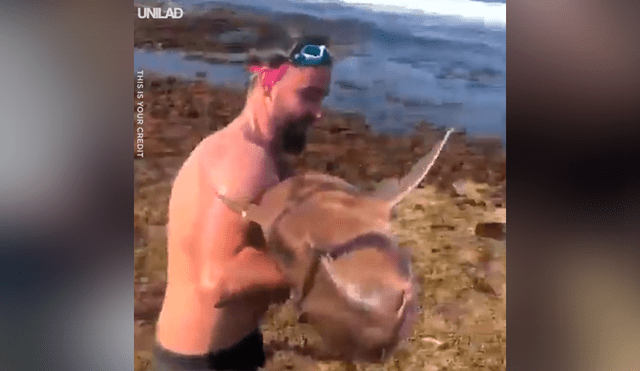 Jóvenes encuentran a tiburón atrapada entre dos piedras, la ayudan y calman su dolor [VIDEO] 