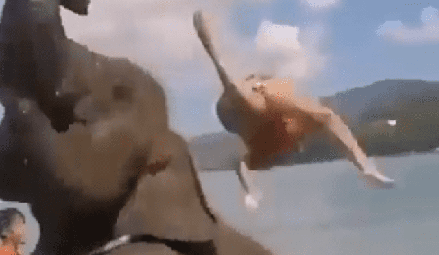 Facebook viral: Intenta tomarse foto sobre la trompa de un elefante y este la deja en ridículo [VIDEO]