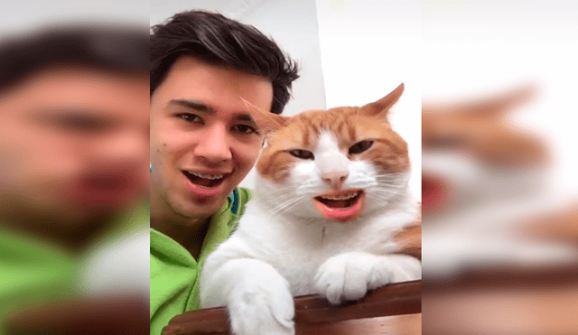 En Facebook, un joven utilizó una aplicación para hacer 'cantar' a su gato sin imaginar su reacción.