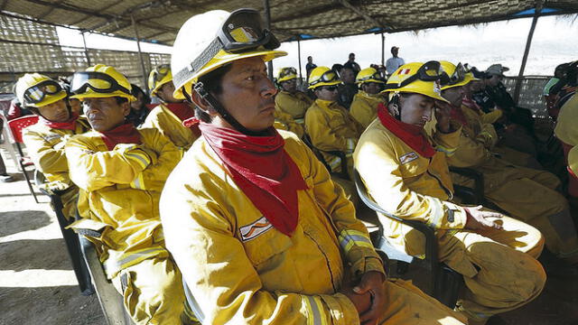 Arequipa formará brigada contra incendios forestales