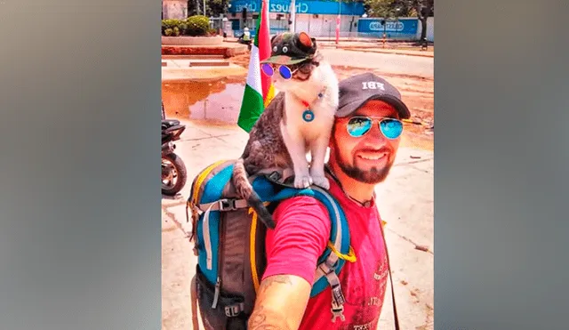 Facebook viral: conoce a ‘Bella’, el gato mochilero que viaja con su dueño por todo el mundo