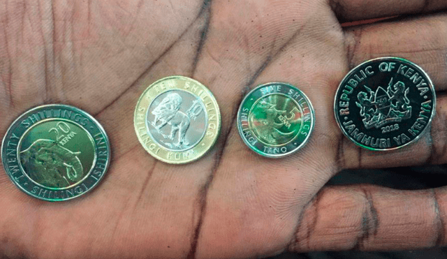 Kenia reemplazará expresidentes de sus monedas y colocará animales [FOTOS]