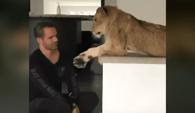 El protagonista del video viral de Facebook colocó su mano en las fauces de una leona arriesgando su vida.