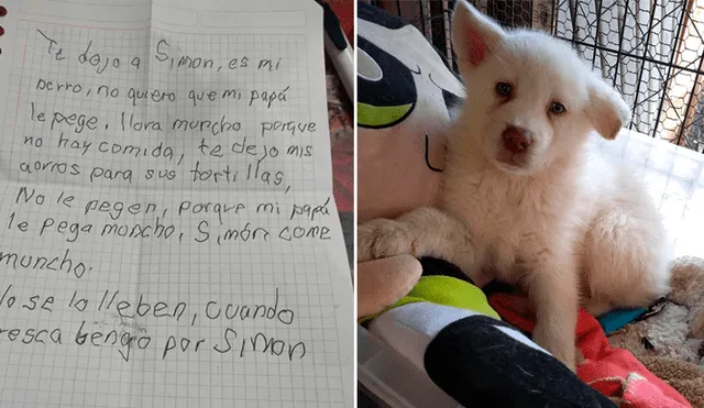 Niño deja a su perro en albergue para que no lo sigan maltratando en su casa [FOTOS]