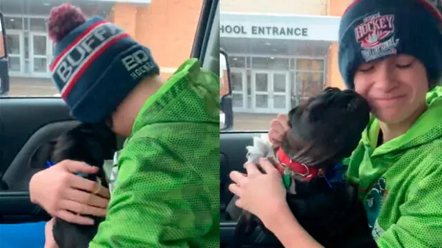 Vía YouTube: Mira el conmovedor reencuentro entre un niño y su mascota perdida. Foto: Captura.