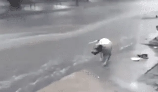 YouTube viral: perro callejero conmueve las redes al recoger la basura en plena lluvia.