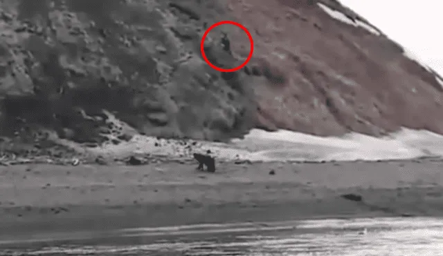 YouTube: pescadores filman últimos minutos de vida de colega acorralado por un oso [VIDEO]