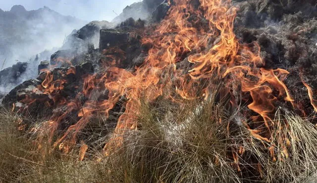 Áncash: cuatro incendios forestales aún continúan activos