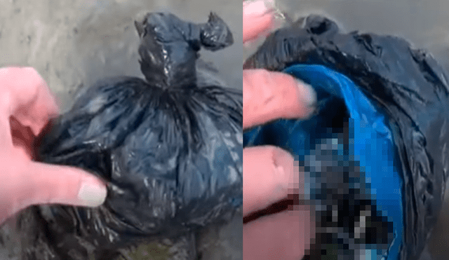 Facebook viral: se topa con extraña bolsa abandonada en río de Inglaterra y encuentra increíble tesoro dentro