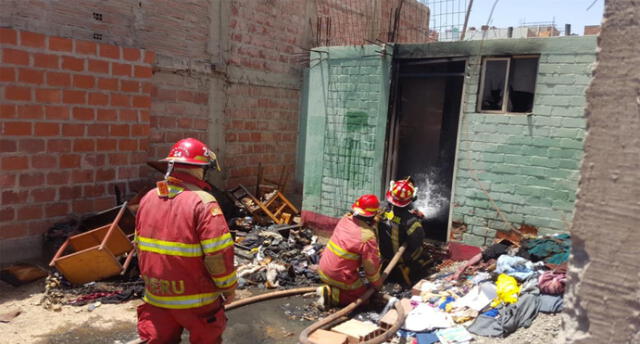 Incendio mató a cuatro cachorros abandonados en Tacna