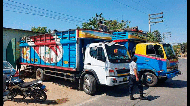 Se investiga la procedencia de la sustancia hallada en camión con limones.