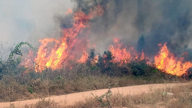 Charly Alberti y su fuerte mensaje contra Jair Bolsonaro por incendio en la Amazonía [VIDEO]