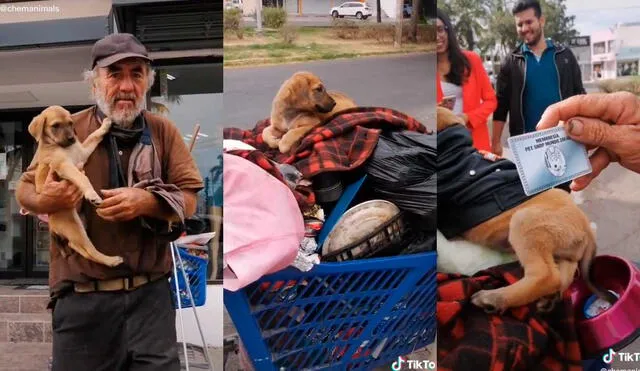 Desliza las imágenes para conocer un poco más sobre este anciano y su pequeña mascota. Foto: captura de TikTok/Chemanimals