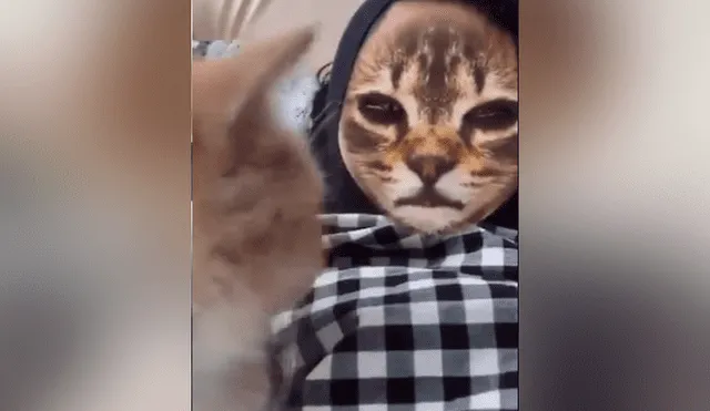 Desliza hacia la izquierda para ver la reacción que tuvo el felino al ver el filtro del gato que se ha vuelto viral en Facebook.