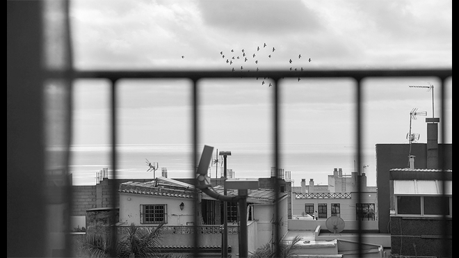 La iniciativa busca que las personas muestren su creatividad desde sus ventanas y balcones. Foto: Twitter @PICPOLPHOTO