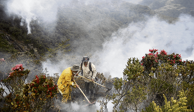 En acción. "Somos la primera fuerza de respuesta ante los incendios forestales", asegura la dirección del Servicio Nacional de Áreas Naturales Protegidas por el Estado (Sernanp).
