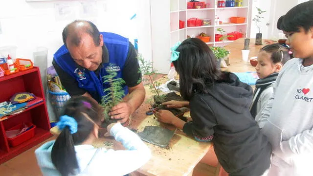 Escolares sembraron árboles bonsái en su colegio