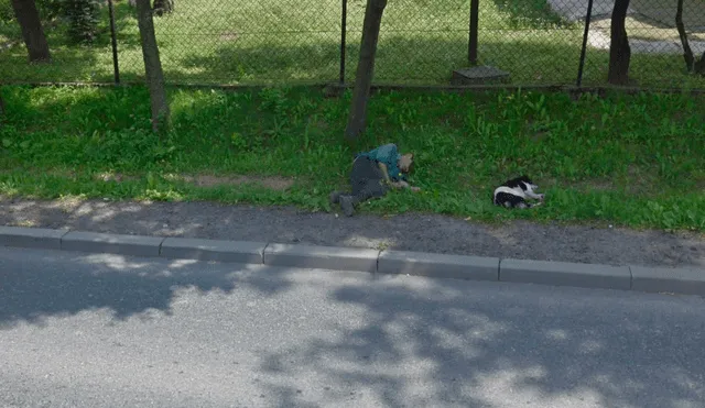 Google Maps: ebrio se queda dormido y su perro fiel tiene increíble reacción [FOTOS]