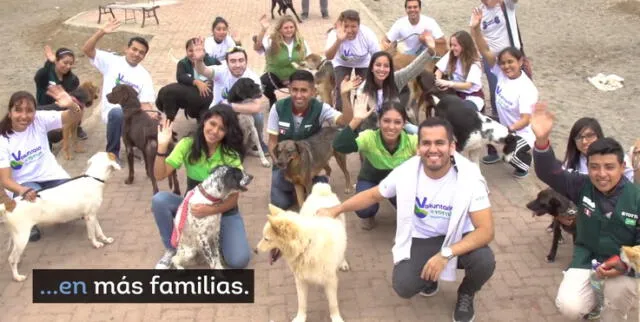 Tottus se une a WUF en la campaña “Huellas de ayuda” para los perritos abandonados 