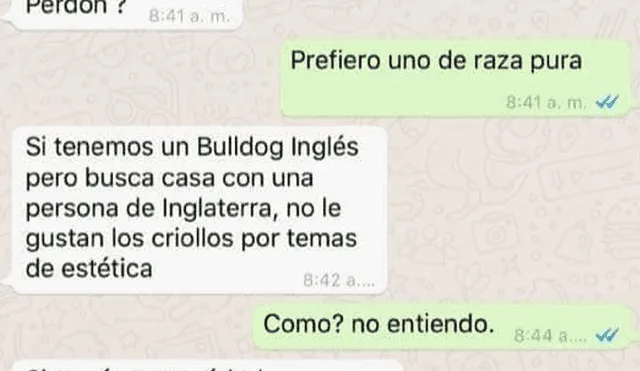 WhatsApp: se comunica con albergue para adoptar un perro de 'raza' y le dicen esto [FOTOS]