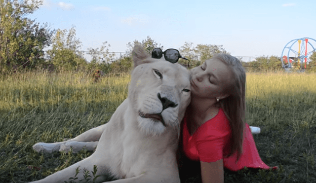 Desliza hacia la izquierda para ver las divertidas fotos que se tomó una mujer junto a la enorme leona en el zoológico y se ha vuelto viral en YouTube.