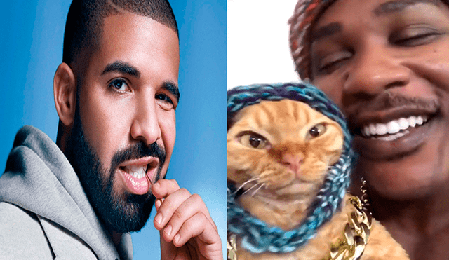 Facebook viral: joven juega con su pequeño gato y le dedica una canción de Drake a su propio estilo [VIDEO]