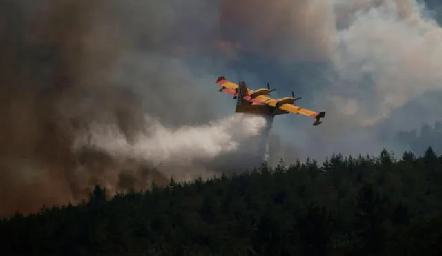 Avión que combatía incendio en Portugal se estrelló 