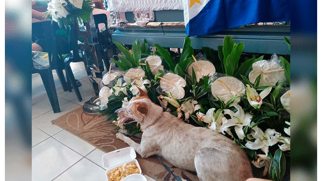 Facebook: Perro acompaña ataúd de profesor que lo cuidó en escuela de Filipinas [FOTOS]