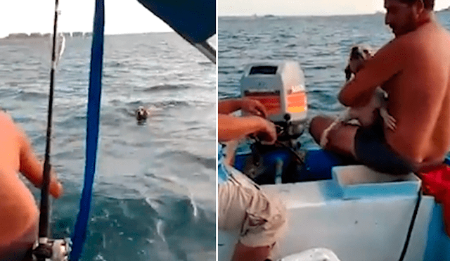 Pescadores hallan misteriosa criatura flotando en el mar, se acercan y descubren lo trágico [VIDEO]