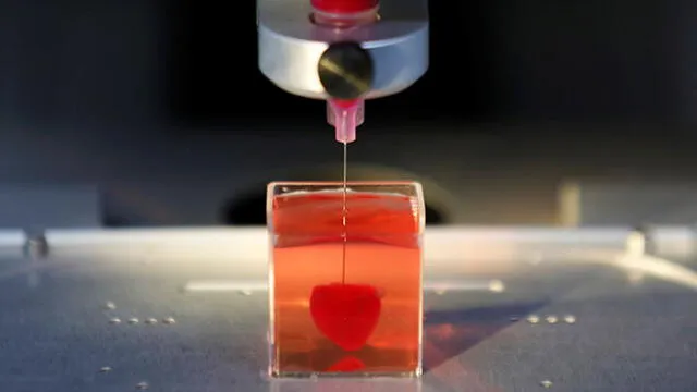 Crean el primer corazón "completo, vivo y que palpita" impreso en 3D con tejido humano [FOTOS]