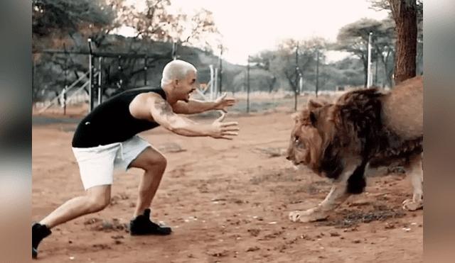 Desliza hacia la izquierda para ver el reencuentro del hombre con un enorme león que se volvió viral en YouTube.