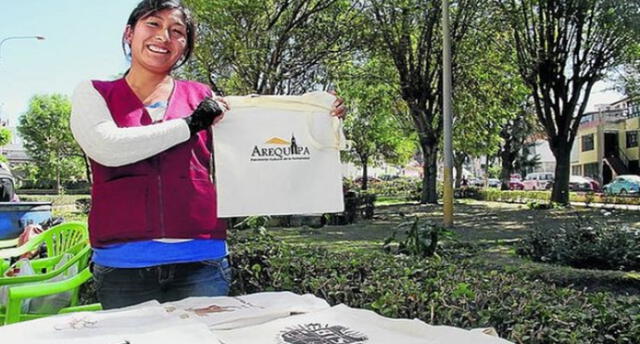 Madre arequipeña emprendió negocio con bolsas ecológicas. Foto: Correo.