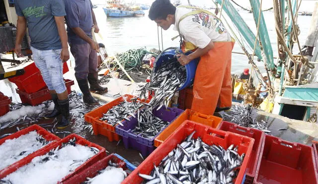 Publican decreto para reactivar agricultura y pesca en el país