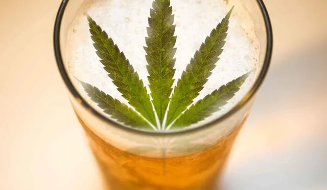 Cerveza y marihuana la fórmula millonaria de Constellation Brands
