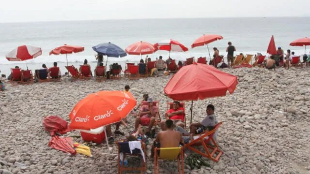 Cedro: el 22% de los veraneantes consume alcohol cada vez que visita la playa 
