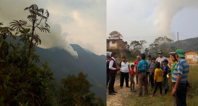 Incendio forestal consume 115 hectáreas de cultivos de café y cítricos en Puno