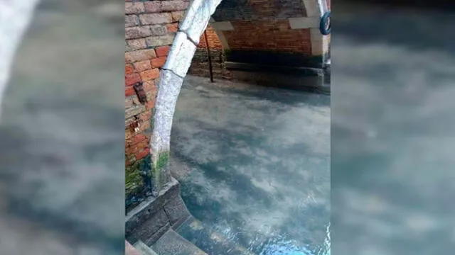 Venecia amanece distinta: canales lucen limpios tras ausencia de turistas por coronavirus [VIDEO] 