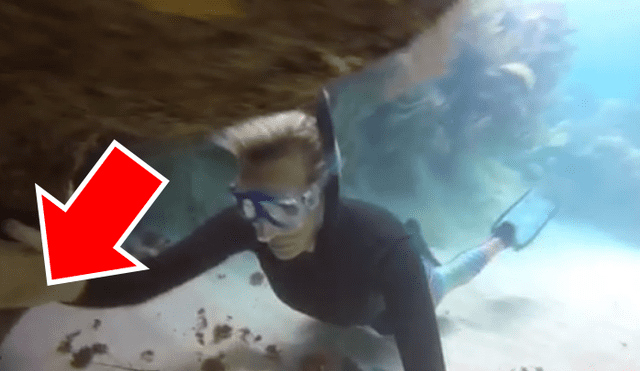 YouTube viral: buzo excursiona por el fondo del mar y encuentra huevos de ‘criatura marina’ [VIDEO]