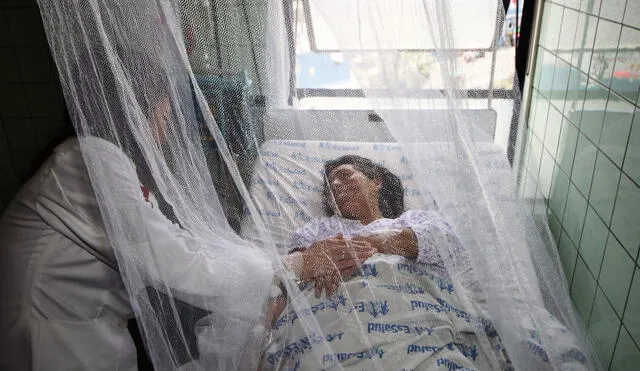 OMS habla de una epidemia por dengue en la región Piura