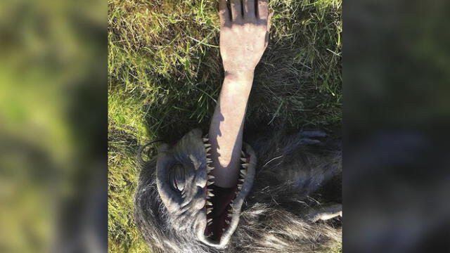 'Critters: A New Binge' será la nueva entrega de las carnívoras criaturas [FOTOS]