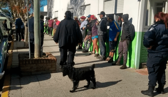 En Argentina, camión con decenas de cerdos se volcó y las personas aprovecharon para llevarse a los animales.  Foto: La Capital