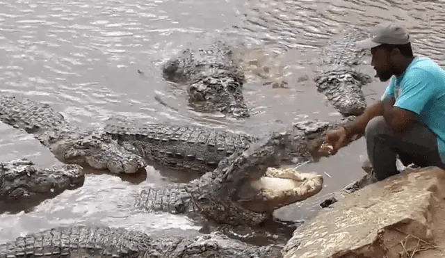 YouTube viral: hombre sorprende a todos tras ingresar a santuario de cocodrilos para alimentaros en la boca [VIDEO]