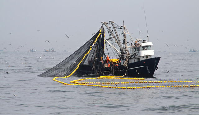 Pesca comercial del Perú ya puede ser monitoreada satelitalmente por cualquier persona