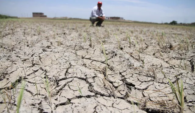 Agricultores recibirán créditos para atender sus sembríos. (Foto: República)