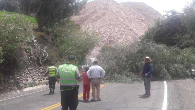 Cae árbol y bloquea carretera Binacional en Moquegua [VIDEO]