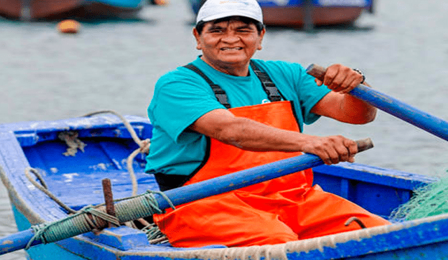 El 60% de las embarcaciones son informales en el sector pesca